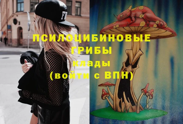 прущие крисы Алексин