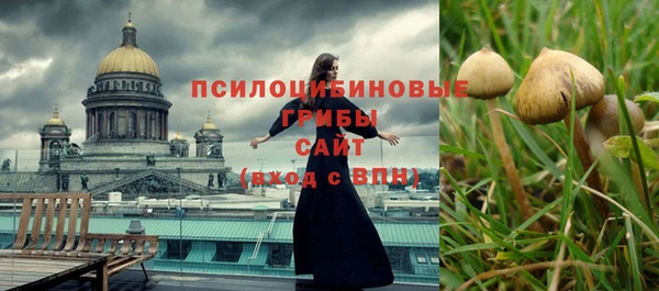 прущие крисы Алексин